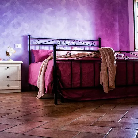 Il Casale Di David Bed & Breakfast Pontedera Exterior photo