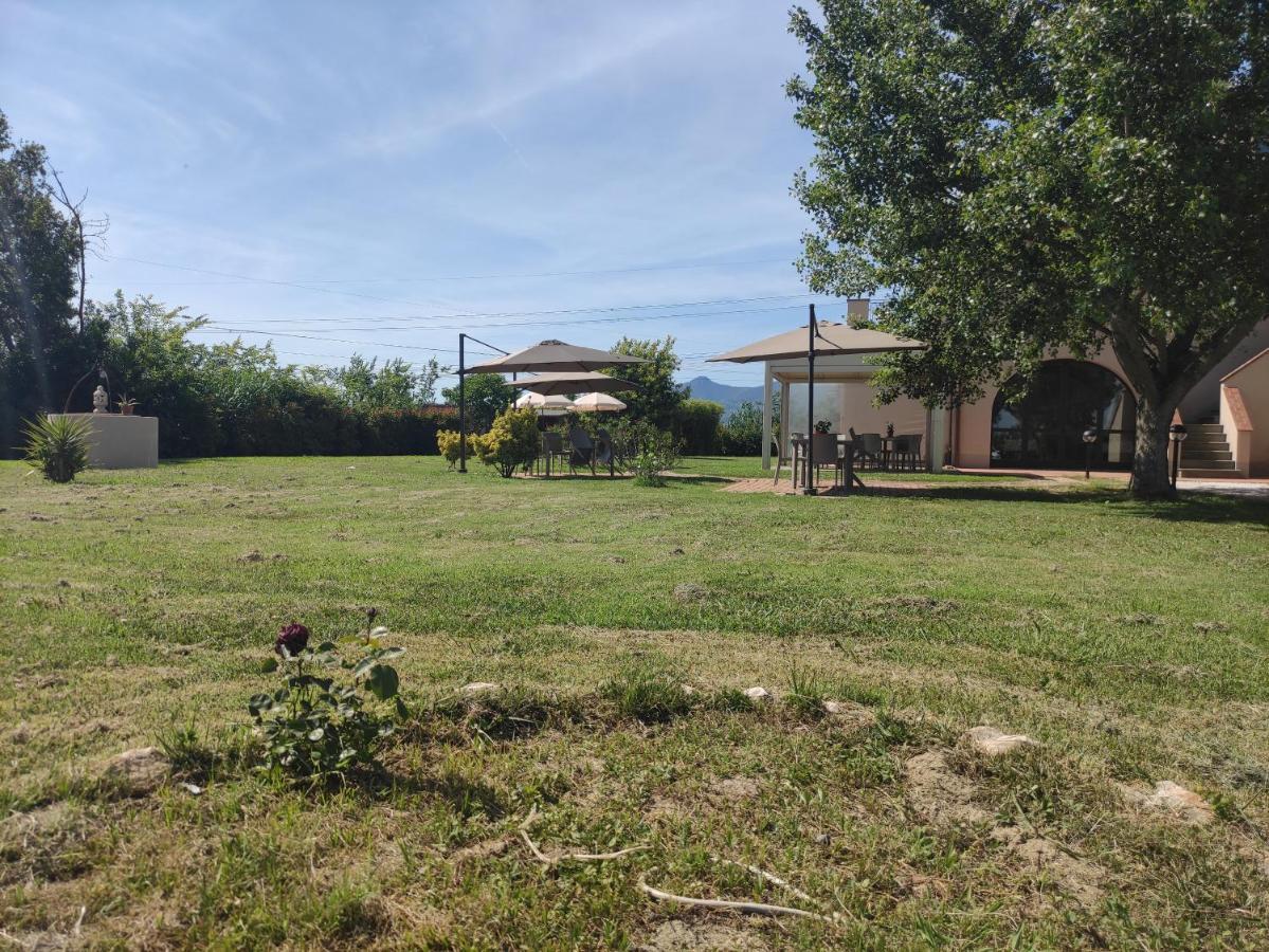 Bed & Breakfast Il Casale Di David Pontedera