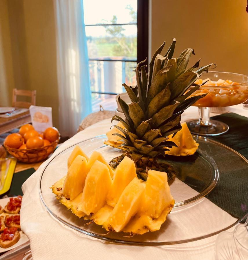 Il Casale Di David Bed & Breakfast *